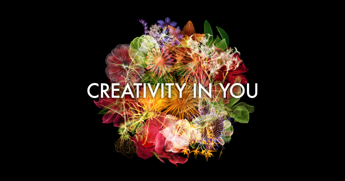 CREATIVITY IN YOU | POLA B.A